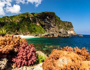 Sunny cove with coral and lush hills