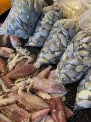 Fresh seafood display: squid and bags of clams.