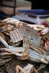 Close-up of a pile of fresh crabs at a market.