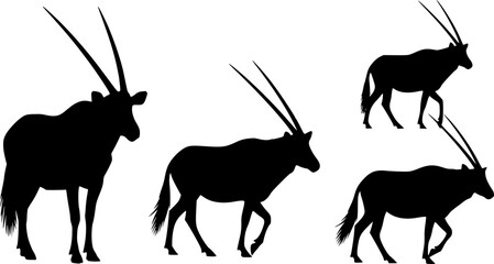Oryx silhouettes, Oryx svg, Horned animal silhouettes, Horned oryx svg, Oryx gazella svg, Oryx vector set.