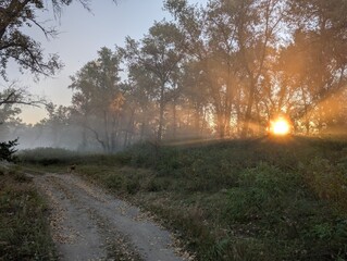 Fog in the field on the river and in the forest