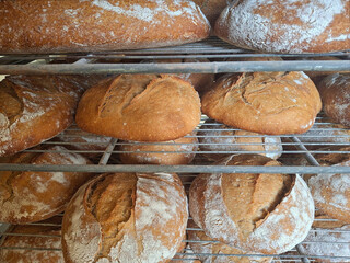 attractive and appetizing breads on a rack just out of the oven