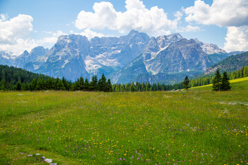 Dolomites landscape near Lake Misurina. Mountain tops and flower meadow
