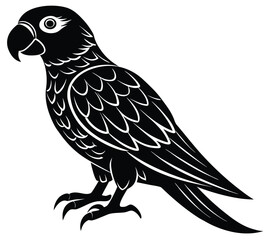 Fototapeta premium Vector illustration of a wild black and white predator bird with its wings and beak on a branch
