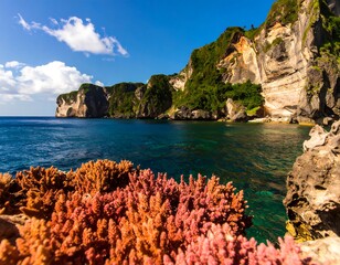 Coral reef fringed by dramatic cliffs, turquoise water