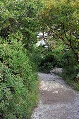 Rilkeweg zwischen Sentiero und Duino in Italien