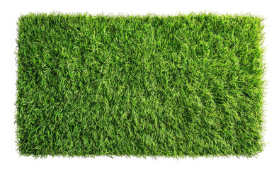 Rectangular patch of vibrant green grass