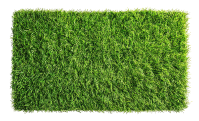 Rectangular patch of vibrant green grass