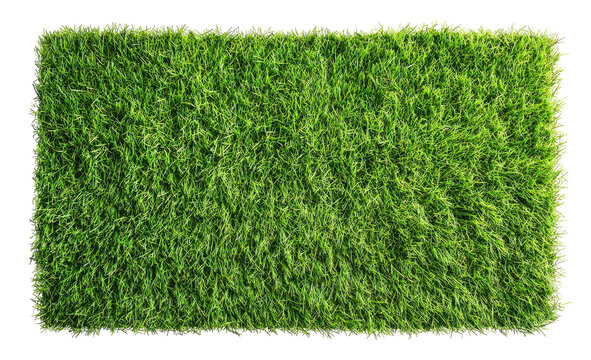 Rectangular patch of vibrant green grass