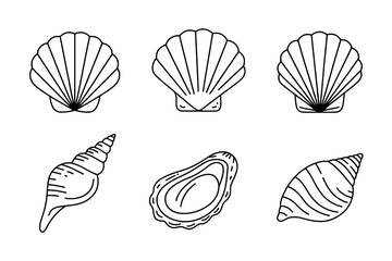 Six Seashells Line Art Icons: Scallops, Oyster, and Spiral Shells
