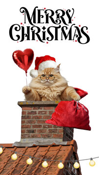 A fluffy fat cat wearing glasses and a Santa hat, holding a heart-shaped balloon and gift bag, climbing out of a chimney of a decorated house with Christmas lights, festive holiday greetings included.