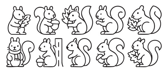 A set of linear icons depicting a squirrel. The icons are designed in a minimalist style with black outlines on a white background.