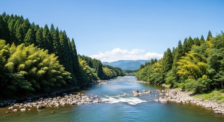 Fototapeta premium A scenic view of clear river flowing through lush green forest landscape