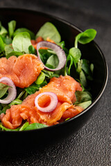 Salmon Salad appetizer seafood fresh fish second course portion size natural product tasty snack fresh food background on the table rustic copy space keto and paleo diet vegetarian pescetarian diet