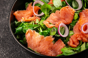 Salmon Salad appetizer seafood fresh fish second course portion size natural product tasty snack fresh food background on the table rustic copy space keto and paleo diet vegetarian pescetarian diet