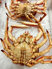 Galicia, Spider crabs on ice in the supermarket.