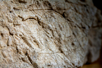 Textura de roca natural con relieve y sombras