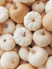 Neutral beige mini pumpkins flat lay on warm background, autumn harvest and thanksgiving still life
