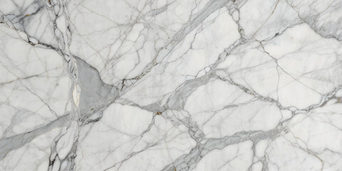 High-Resolution Image of Exquisite White Marble with Gray Veins. This is a detailed close-up view of a white marble surface showcasing intricate gray veins.