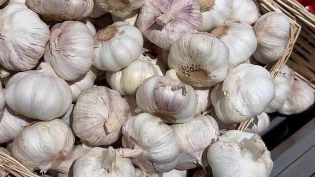 A lot of garlic in the box on sale in vegetable stand display at supermarket shop organic food, vegetarian food, healthy food. Close-up.