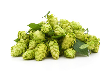 Fototapeta premium Pile hop cones with leaves.