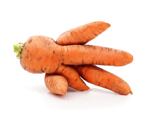 Funny shaped carrot with multiple roots isolated on white background.