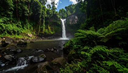 Obraz premium Lush waterfall cascading into a pool, surrounded by dense jungle