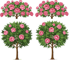 Flowering tree illustration, pink blossom tree art, spring floral design, botanical nature clipart, decorative garden plant, seasonal bloom vector artwork