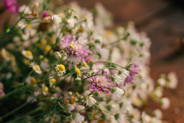 a vertical selective focus shot of flowers and greenery