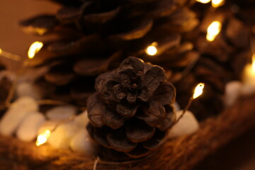✨ Magia de Pinitas y Luces Navideñas ✨ © Zuralys Martínez