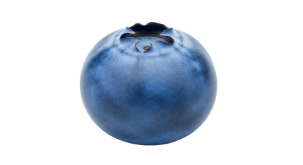 Isolated Blueberry Close-Up Freshness in Detail Single Fruit Still-Life Culinary Ingredient