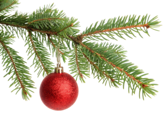 Sparkling red christmas ornament hanging from a green fir tree branch isolated on transparent background