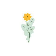 Dandelion Illustration: Yellow Flower, Green Leaf, Botanical Art, Nature Design Element