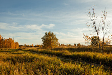 Golden hour light illuminates a field on the outskirts of Narva, Estonia. The landscape features...