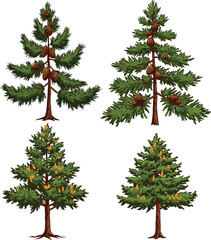 Realistic pine tree illustrations with cones, evergreen botanical drawings, conifer forest plants, detailed nature vector art, seasonal foliage design for educational and decorative use