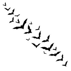 Vector art of a flock of bats flying in silhouette, perfect for halloween designs, spooky themes, and nocturnal art