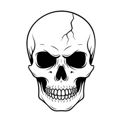 Obraz premium Vector art of skull illustration, representing human anatomy, death, and the macabre, suitable for medical and halloween themes
