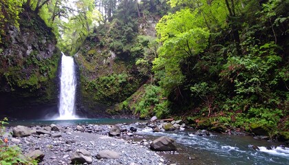 Lush forest waterfall cascading into pool