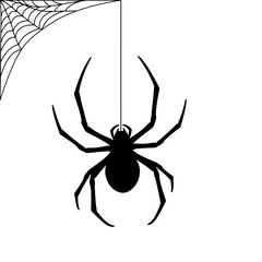 Shadow Horror Spiders Silhouette Vector Illustration