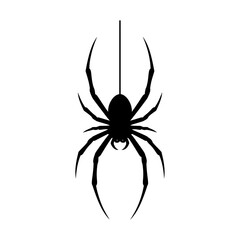 Frightening Spiders Shadow Silhouette Vector Illustration