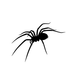 Creepy Dark Spiders Silhouette Vector Illustration