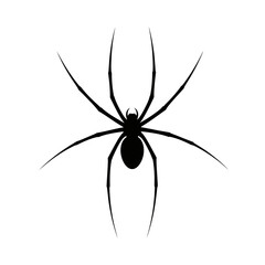 Creepy Crawlers Spiders Silhouette Vector Illustration