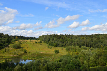 Obraz premium Summer landscape with forest of deciduous and coniferous trees. Russia