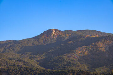 Dense green forest covering Kazdağları mountain peak under clear blue sky