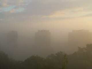 Fototapeta premium High-rise buildings barely visible in dense morning fog with soft sunlight and tree silhouettes