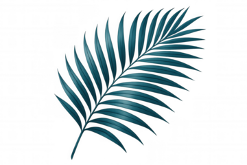 Vibrant teal palm leaf standing isolated against transparent background, conveying tropical elegance with minimalist design approach