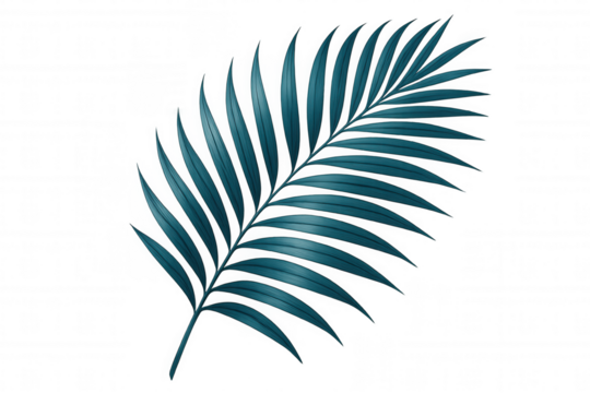 Vibrant teal palm leaf standing isolated against transparent background, conveying tropical elegance with minimalist design approach