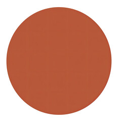 A solid, round, burnt orange disc