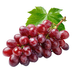 Fototapeta premium Red grapes bunch with vibrant color and leaf