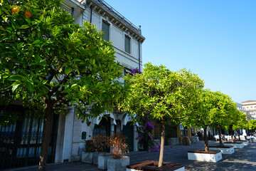 Orange trees with fruits at the promenade at Gardone Riviera, Italy